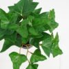 Artificial Plant 22*17*17cm Real Touch Ivy Leaf in PP pot GS-03321057 Potted Flowers&Plants YeahFlower is one of Chinese leading OEM manufacturers and exporters , supplying the silk flowers, wholesale artificial trees