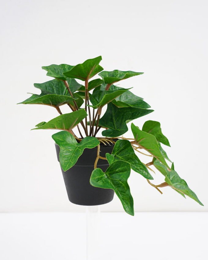 Artificial Plant 22*17*17cm Real Touch Ivy Leaf in PP pot GS-03321057 Potted Flowers&Plants YeahFlower is one of Chinese leading OEM manufacturers and exporters , supplying the silk flowers, wholesale artificial trees