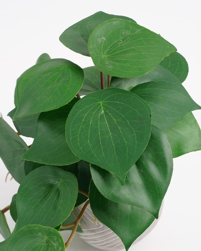 Artificial Plant 20*17*21cm Real Touch Leaf in Cement pot GS-03321073 Potted Flowers&Plants 3,000+ sqm showroom with thousands of artificial flowers, plants & trees ready for global sourcing.