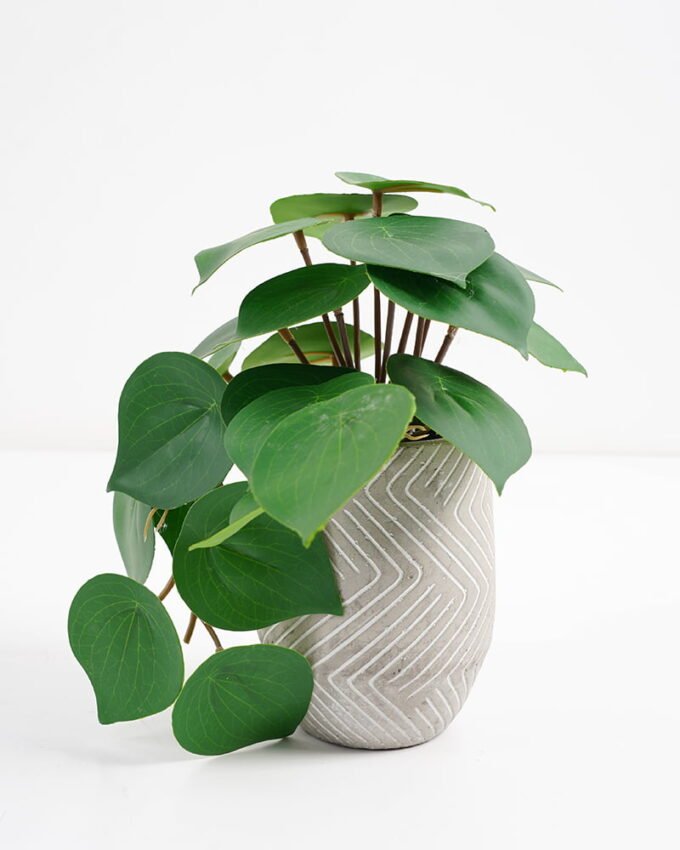 Artificial Plant 20*17*21cm Real Touch Leaf in Cement pot GS-03321073 Potted Flowers&Plants 3,000+ sqm showroom with thousands of artificial flowers, plants & trees ready for global sourcing.