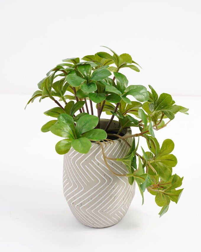 Artificial Plant 20*17*21cm Real Touch Leaf in Cement pot GS-03321074 Potted Flowers&Plants 3,000+ sqm showroom with thousands of artificial flowers, plants & trees ready for global sourcing.