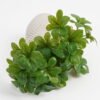 Artificial Plant 20*17*21cm Real Touch Leaf in Cement pot GS-03321074 Potted Flowers&Plants 3,000+ sqm showroom with thousands of artificial flowers, plants & trees ready for global sourcing.