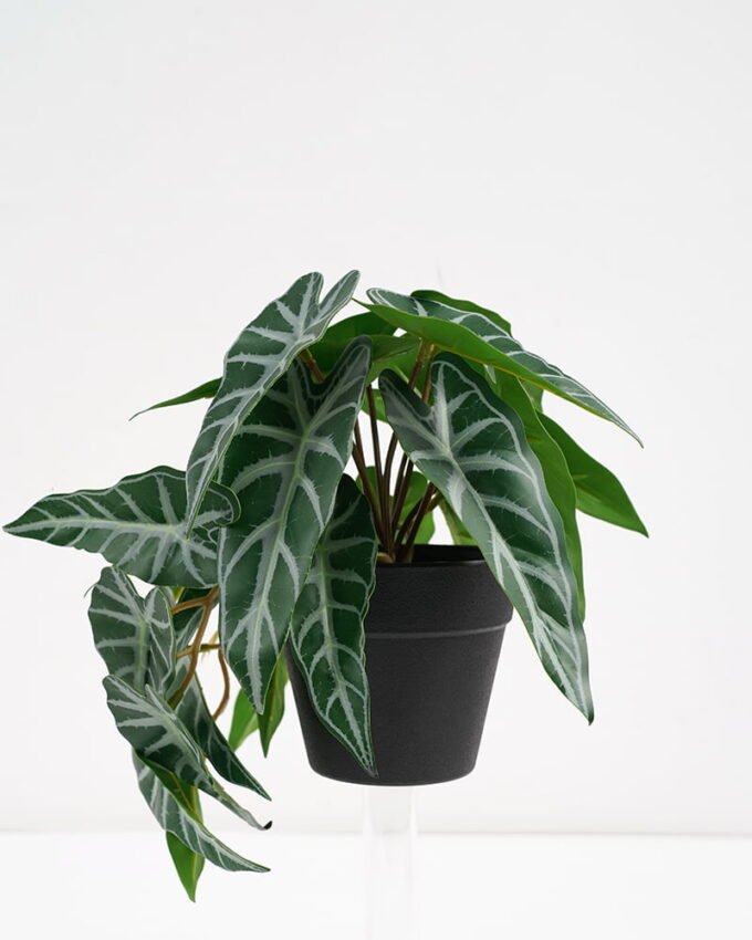 Artificial Plant 22*17*17cm Real Touch Mini Alocasia Leaf in PP pot GS-03321061 Potted Flowers&Plants YeahFlower is one of Chinese leading OEM manufacturers and exporters , supplying the silk flowers, wholesale artificial trees