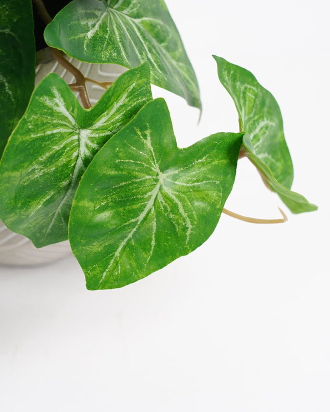 Artificial Plant 20*17*21cm Real Touch Mini Taro Leaf in Cement pot GS-03321072 Potted Flowers&Plants YeahFlower is one of Chinese leading OEM manufacturers and exporters , supplying the silk flowers, wholesale artificial trees