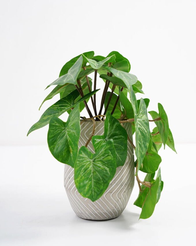 Artificial Plant 20*17*21cm Real Touch Mini Taro Leaf in Cement pot GS-03321072 Potted Flowers&Plants YeahFlower is one of Chinese leading OEM manufacturers and exporters , supplying the silk flowers, wholesale artificial trees