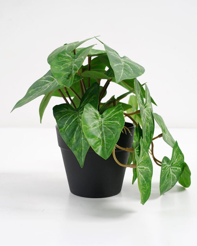 Artificial Plant 22*17*17cm Real Touch Mini Taro Leaf in PP pot GS-03321059 Potted Flowers&Plants 3,000+ sqm showroom with thousands of artificial flowers, plants & trees ready for global sourcing.