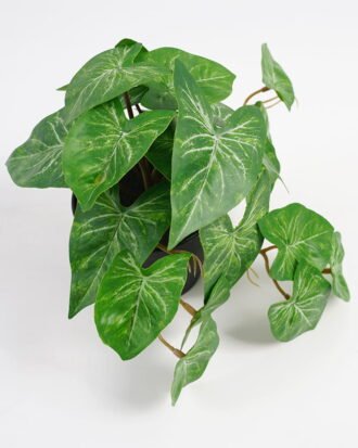 Artificial Plant 22*17*17cm Real Touch Mini Taro Leaf in PP pot GS-03321059 Potted Flowers&Plants YeahFlower is one of Chinese leading OEM manufacturers and exporters , supplying the silk flowers, wholesale artificial trees