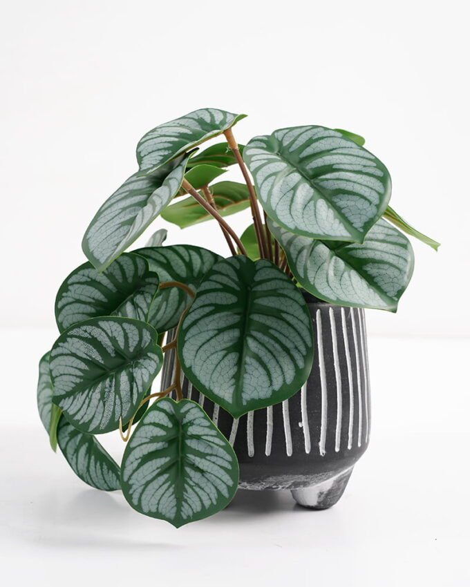 Artificial Plant 20*17*19cm Real Touch Mini Taro leaf in Cement pot GS-03321067 Potted Flowers&Plants 3,000+ sqm showroom with thousands of artificial flowers, plants & trees ready for global sourcing.