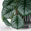 Artificial Plant 20*17*19cm Real Touch Mini Taro leaf in Cement pot GS-03321067 Potted Flowers&Plants 3,000+ sqm showroom with thousands of artificial flowers, plants & trees ready for global sourcing.