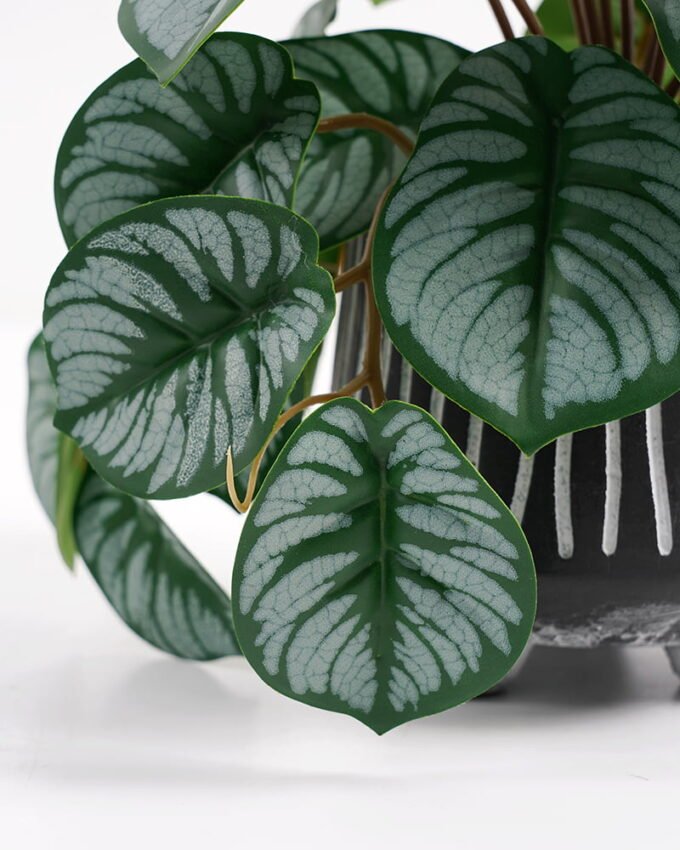 Artificial Plant 20*17*19cm Real Touch Mini Taro leaf in Cement pot GS-03321067 Potted Flowers&Plants 3,000+ sqm showroom with thousands of artificial flowers, plants & trees ready for global sourcing.