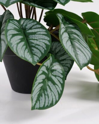 Artificial Plant 22*17*17cm Real Touch Mini Taro leaf in PP pot GS-03321056 Potted Flowers&Plants YeahFlower is one of Chinese leading OEM manufacturers and exporters , supplying the silk flowers, wholesale artificial trees