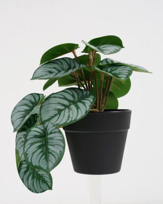Artificial Plant 22*17*17cm Real Touch Mini Taro leaf in PP pot GS-03321056 Potted Flowers&Plants YeahFlower is one of Chinese leading OEM manufacturers and exporters , supplying the silk flowers, wholesale artificial trees