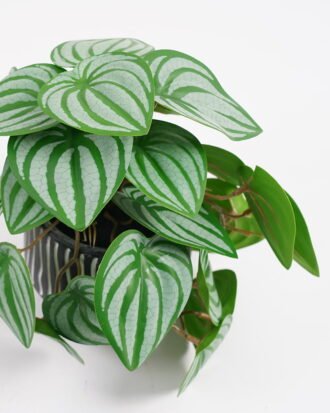 Artificial Plant 20*17*19cm Real Touch Mini watermelon Leaf in Cement pot GS-03321066 Potted Flowers&Plants YeahFlower is one of Chinese leading OEM manufacturers and exporters , supplying the silk flowers, wholesale artificial trees