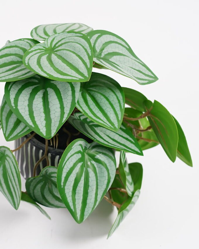 Artificial Plant 20*17*19cm Real Touch Mini watermelon Leaf in Cement pot GS-03321066 Potted Flowers&Plants YeahFlower is one of Chinese leading OEM manufacturers and exporters , supplying the silk flowers, wholesale artificial trees