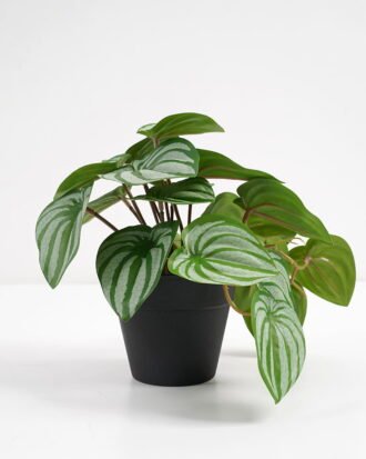 Artificial Plant 22*17*17cm Real Touch Mini watermelon Leaf in PP pot GS-03321062 Potted Flowers&Plants YeahFlower is one of Chinese leading OEM manufacturers and exporters , supplying the silk flowers, wholesale artificial trees