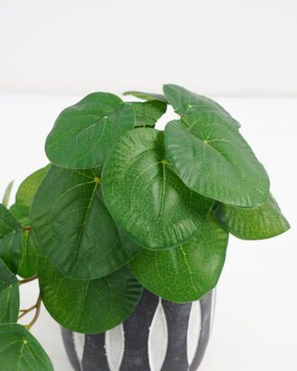 Artificial Plant 20*17*21cm Real Touch Round Leaf in Cement pot GS-03321070 Potted Flowers&Plants YeahFlower is one of Chinese leading OEM manufacturers and exporters , supplying the silk flowers, wholesale artificial trees