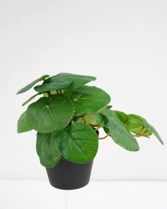Artificial Plant 22*17*17cm Real Touch Round Leaf in PP pot GS-03321060 Potted Flowers&Plants YeahFlower is one of Chinese leading OEM manufacturers and exporters , supplying the silk flowers, wholesale artificial trees