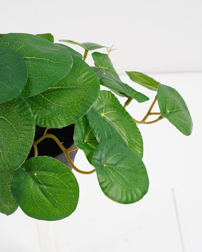 Artificial Plant 22*17*17cm Real Touch Round Leaf in PP pot GS-03321060 Potted Flowers&Plants YeahFlower is one of Chinese leading OEM manufacturers and exporters , supplying the silk flowers, wholesale artificial trees