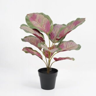 Artificial Plant 32*32*34cm Real touch 3D printing Leaves in pot GS-03321025-P1 Potted Flowers&Plants YeahFlower is one of Chinese leading OEM manufacturers and exporters , supplying the silk flowers, wholesale artificial trees