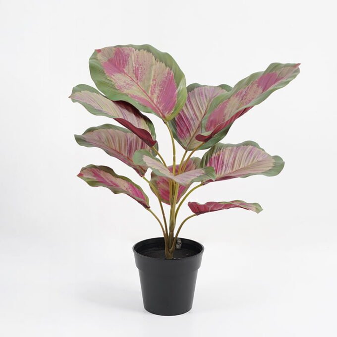 Artificial Plant 32*32*34cm Real touch 3D printing Leaves in pot GS-03321025-P1 Potted Flowers&Plants YeahFlower is one of Chinese leading OEM manufacturers and exporters , supplying the silk flowers, wholesale artificial trees