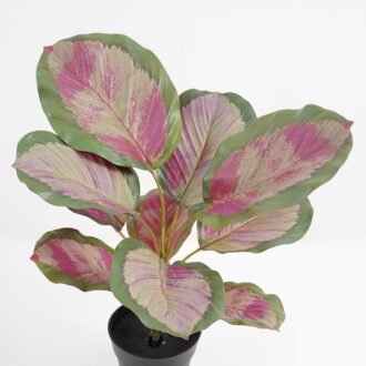 Artificial Plant 32*32*34cm Real touch 3D printing Leaves in pot GS-03321025-P1 Potted Flowers&Plants YeahFlower is one of Chinese leading OEM manufacturers and exporters , supplying the silk flowers, wholesale artificial trees