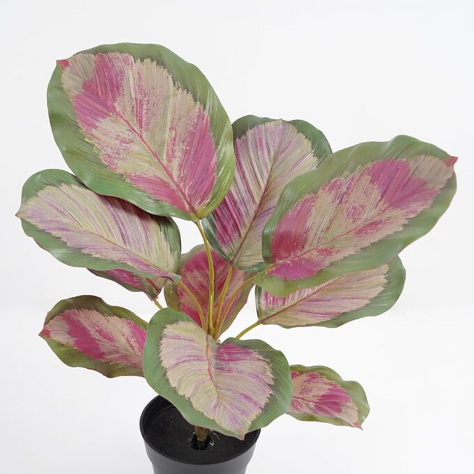 Artificial Plant 32*32*34cm Real touch 3D printing Leaves in pot GS-03321025-P1 Potted Flowers&Plants YeahFlower is one of Chinese leading OEM manufacturers and exporters , supplying the silk flowers, wholesale artificial trees