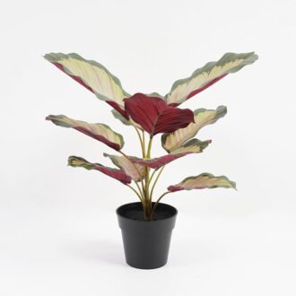 Artificial Plant 32*32*34cm Real touch 3D printing Leaves in pot GS-03321025-W1 Potted Flowers&Plants YeahFlower is one of Chinese leading OEM manufacturers and exporters , supplying the silk flowers, wholesale artificial trees