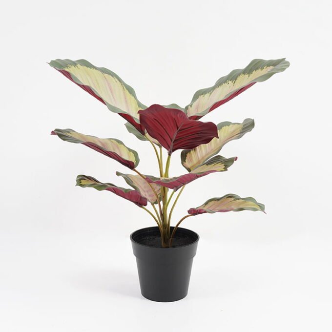 Artificial Plant 32*32*34cm Real touch 3D printing Leaves in pot GS-03321025-W1 Potted Flowers&Plants YeahFlower is one of Chinese leading OEM manufacturers and exporters , supplying the silk flowers, wholesale artificial trees