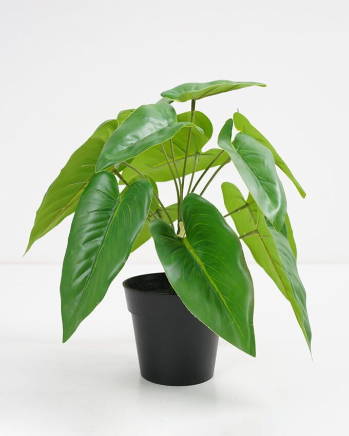 Artificial Plant 26*26*27cm Real touch Anthurium leaf in PP pot GS-03321088 Potted Flowers&Plants 3,000+ sqm showroom with thousands of artificial flowers, plants & trees ready for global sourcing.