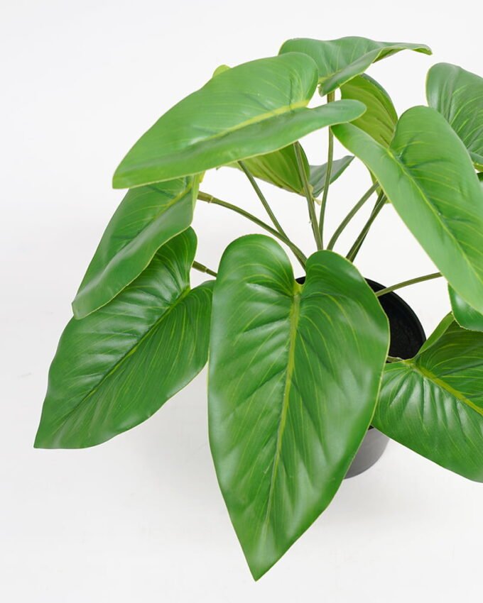 Artificial Plant 26*26*27cm Real touch Anthurium leaf in PP pot GS-03321088 Potted Flowers&Plants 3,000+ sqm showroom with thousands of artificial flowers, plants & trees ready for global sourcing.