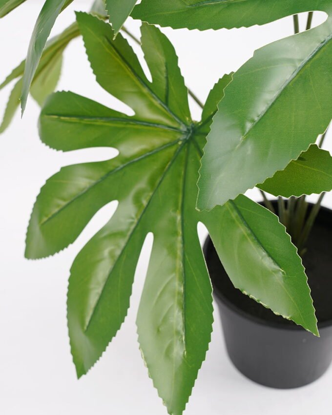 Artificial Plant 44*44*42cm Real touch Fatsia in PP pot GS-03321085 Potted Flowers&Plants YeahFlower is one of Chinese leading OEM manufacturers and exporters , supplying the silk flowers, wholesale artificial trees