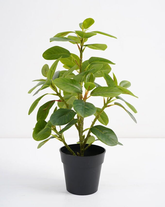 Artificial Plant 24*22*26cm Real touch Ficus elastica in PP pot GS-03321104 Potted Flowers&Plants 3,000+ sqm showroom with thousands of artificial flowers, plants & trees ready for global sourcing.