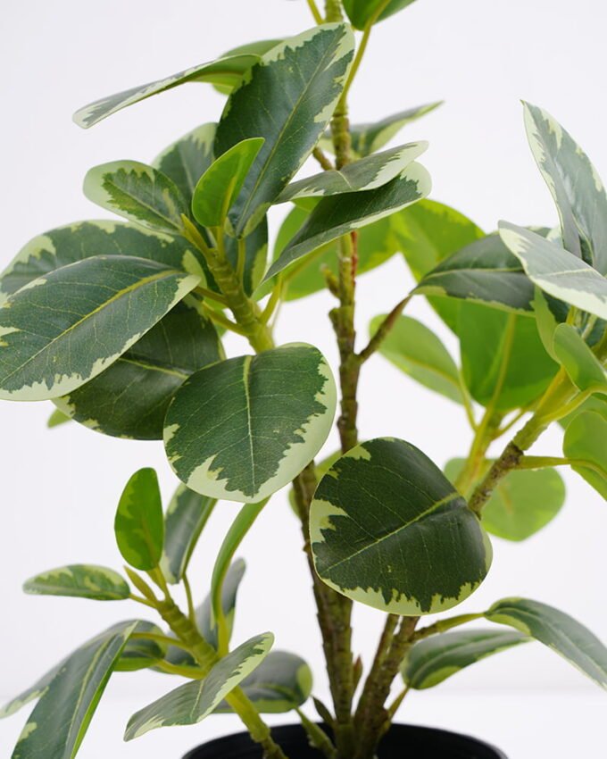 Artificial Plant 24*22*26cm Real touch Ficus elastica in PP pot GS-03321105 Potted Flowers&Plants 3,000+ sqm showroom with thousands of artificial flowers, plants & trees ready for global sourcing.