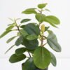 Artificial Plant 21*18*30cm Real touch Ficus elastica in PP pot GS-03321106 Potted Flowers&Plants YeahFlower is one of Chinese leading OEM manufacturers and exporters , supplying the silk flowers, wholesale artificial trees