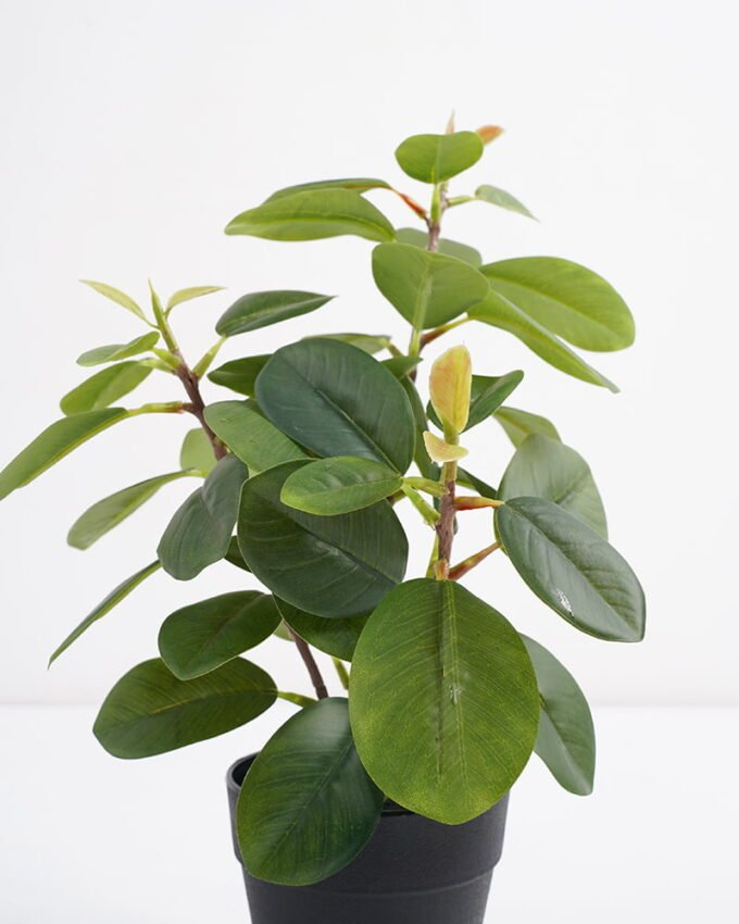 Artificial Plant 21*18*30cm Real touch Ficus elastica in PP pot GS-03321106 Potted Flowers&Plants YeahFlower is one of Chinese leading OEM manufacturers and exporters , supplying the silk flowers, wholesale artificial trees