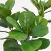 Artificial Plant 30*30*42cm Real touch Ficus pandurata in Pot GS-03321022P0P6 Potted Flowers&Plants YeahFlower is one of Chinese leading OEM manufacturers and exporters , supplying the silk flowers, wholesale artificial trees