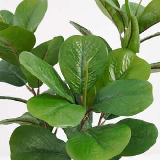 Artificial Plant 30*30*42cm Real touch Ficus pandurata in Pot GS-03321022P0P6 Potted Flowers&Plants YeahFlower is one of Chinese leading OEM manufacturers and exporters , supplying the silk flowers, wholesale artificial trees