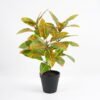 Artificial Plant 30*30*42cm  Real touch Leaves in Pot GS-03321023 Potted Flowers&Plants 3,000+ sqm showroom with thousands of artificial flowers, plants & trees ready for global sourcing.