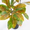 Artificial Plant 30*30*42cm  Real touch Leaves in Pot GS-03321023 Potted Flowers&Plants 3,000+ sqm showroom with thousands of artificial flowers, plants & trees ready for global sourcing.
