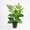 Artificial Plant 30*30*42cm  Real touch Leaves in Pot GS-03321024 Potted Flowers&Plants 3,000+ sqm showroom with thousands of artificial flowers, plants & trees ready for global sourcing.