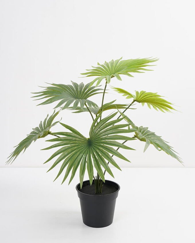 Artificial Plant 44*44*42cm Real touch Livistona chinensis in PP pot GS-03321087 Potted Flowers&Plants 3,000+ sqm showroom with thousands of artificial flowers, plants & trees ready for global sourcing.