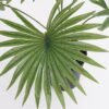 Artificial Plant 44*44*42cm Real touch Livistona chinensis in PP pot GS-03321087 Potted Flowers&Plants 3,000+ sqm showroom with thousands of artificial flowers, plants & trees ready for global sourcing.
