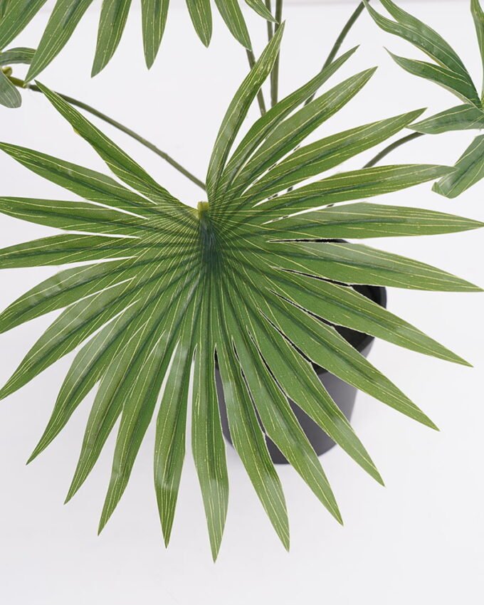 Artificial Plant 44*44*42cm Real touch Livistona chinensis in PP pot GS-03321087 Potted Flowers&Plants 3,000+ sqm showroom with thousands of artificial flowers, plants & trees ready for global sourcing.