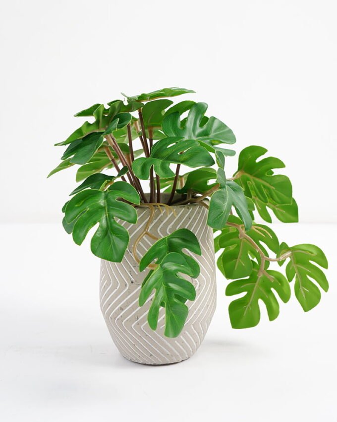Artificial Plant 20*17*21cm Real touch Monstera in Cement pot GS-03321071 Potted Flowers&Plants YeahFlower is one of Chinese leading OEM manufacturers and exporters , supplying the silk flowers, wholesale artificial trees