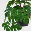 Artificial Plant 22*17*17cm Real touch Monstera in PP pot GS-03321058 Potted Flowers&Plants 3,000+ sqm showroom with thousands of artificial flowers, plants & trees ready for global sourcing.