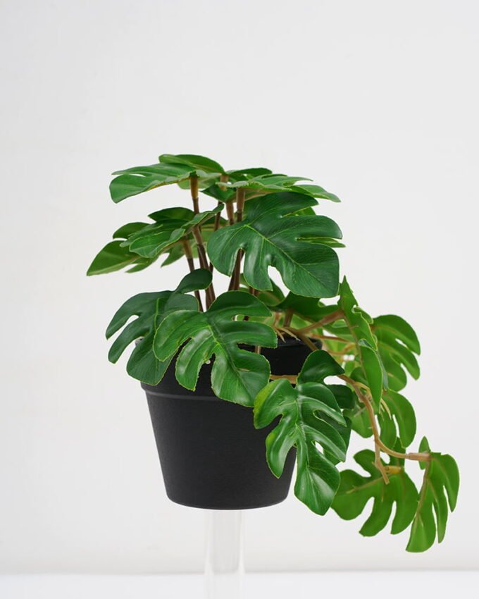 Artificial Plant 22*17*17cm Real touch Monstera in PP pot GS-03321058 Potted Flowers&Plants 3,000+ sqm showroom with thousands of artificial flowers, plants & trees ready for global sourcing.
