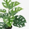 Artificial Plant 48*42*51cm Real touch Monstera in PP pot GS-03321082 Potted Flowers&Plants 3,000+ sqm showroom with thousands of artificial flowers, plants & trees ready for global sourcing.