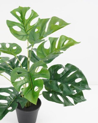 Artificial Plant 48*42*51cm Real touch Monstera in PP pot GS-03321082 Potted Flowers&Plants YeahFlower is one of Chinese leading OEM manufacturers and exporters , supplying the silk flowers, wholesale artificial trees