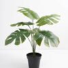 Artificial Plant 44*44*42cm Real touch Monstera in PP pot GS-03321086 Potted Flowers&Plants 3,000+ sqm showroom with thousands of artificial flowers, plants & trees ready for global sourcing.