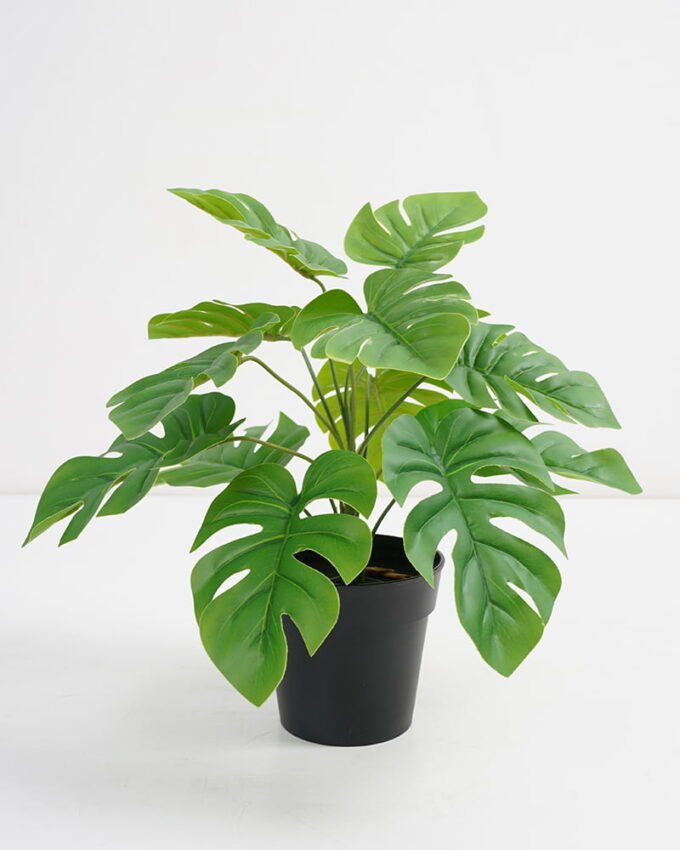 Artificial Plant 26*26*27cm Real touch Monstera in PP pot GS-03321090 Potted Flowers&Plants 3,000+ sqm showroom with thousands of artificial flowers, plants & trees ready for global sourcing.